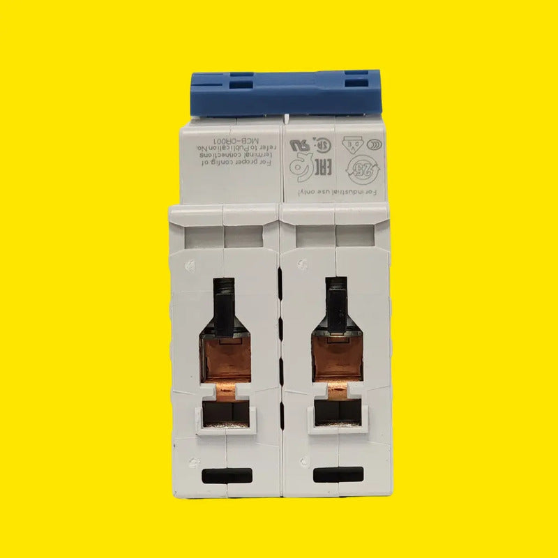 Allen-bradley 1492-spm2c100 Interruptor 2 Polos