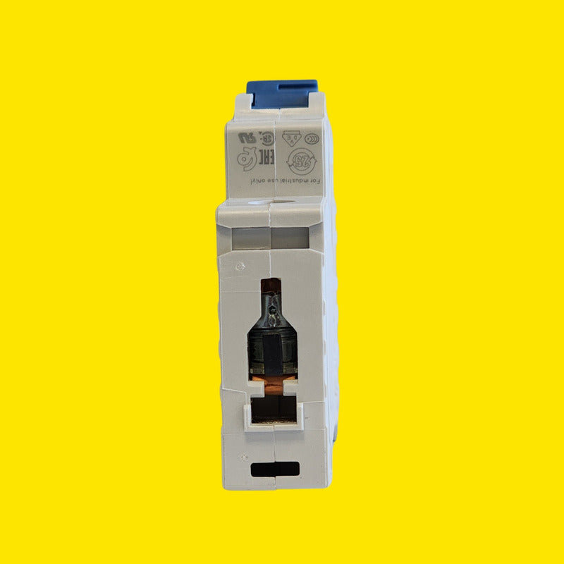 Allen-bradley 1492-spm1c150 Disy.