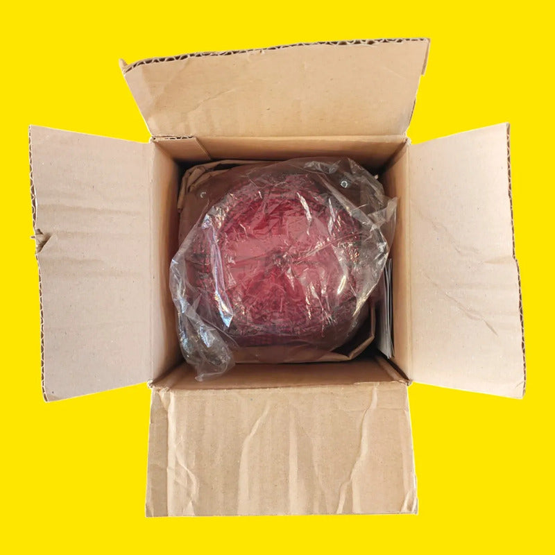 Auer Signal 874662310 Baliza Xenon Roja 120vac Ip66