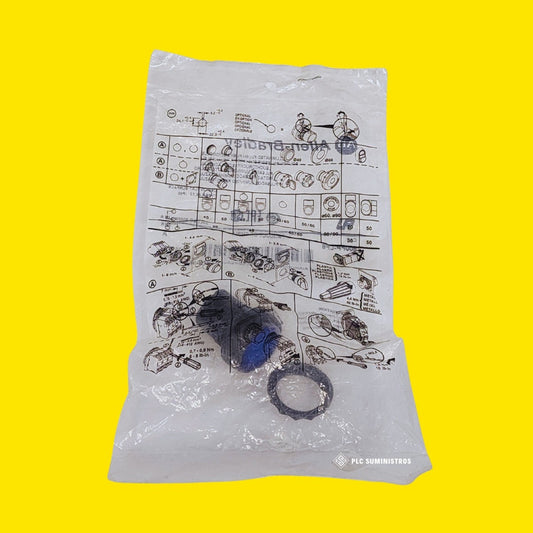 Allen-bradley 800fp-lf6 22mm Momentary Push Button Azul