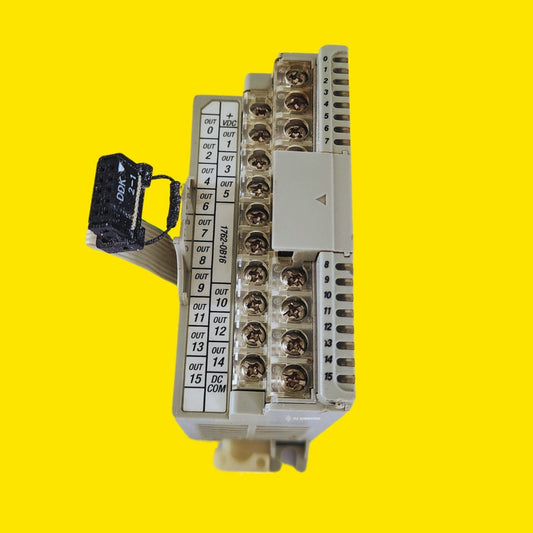Allen Bradley 1762-ob16 Tarjeta Salidas Digitales