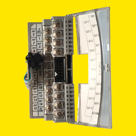 1762-ob16 Allen Bradley 16 Salidas Digitales 24vdc